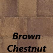 Brown_Chestnut